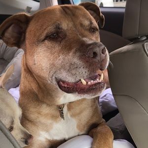 Meet your Posher, Tracy